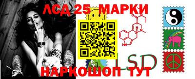 гидра Ставрополь