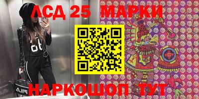 гидра Ставрополь