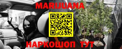 гидра Ставрополь