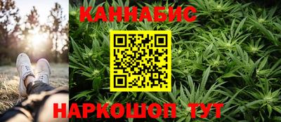 гашик Сланцы