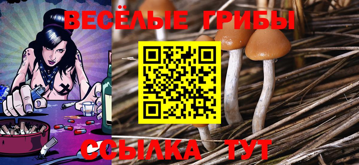 Галлюциногенные грибы GOLDEN TEACHER Оренбург