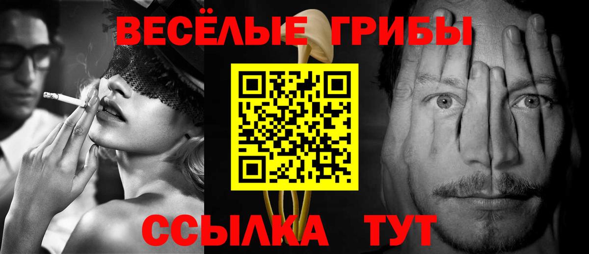 Оренбург  купить  цена  Вход с VPN  Псилоцибиновые грибы Cubensis 